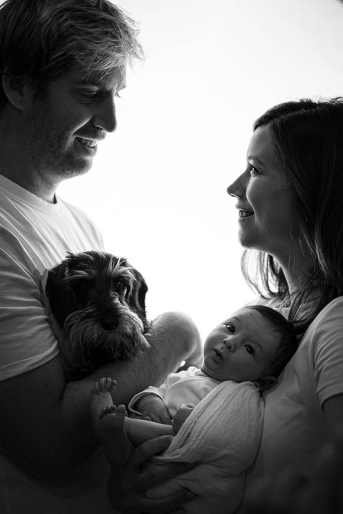 Fotografia recien nacido familia perro