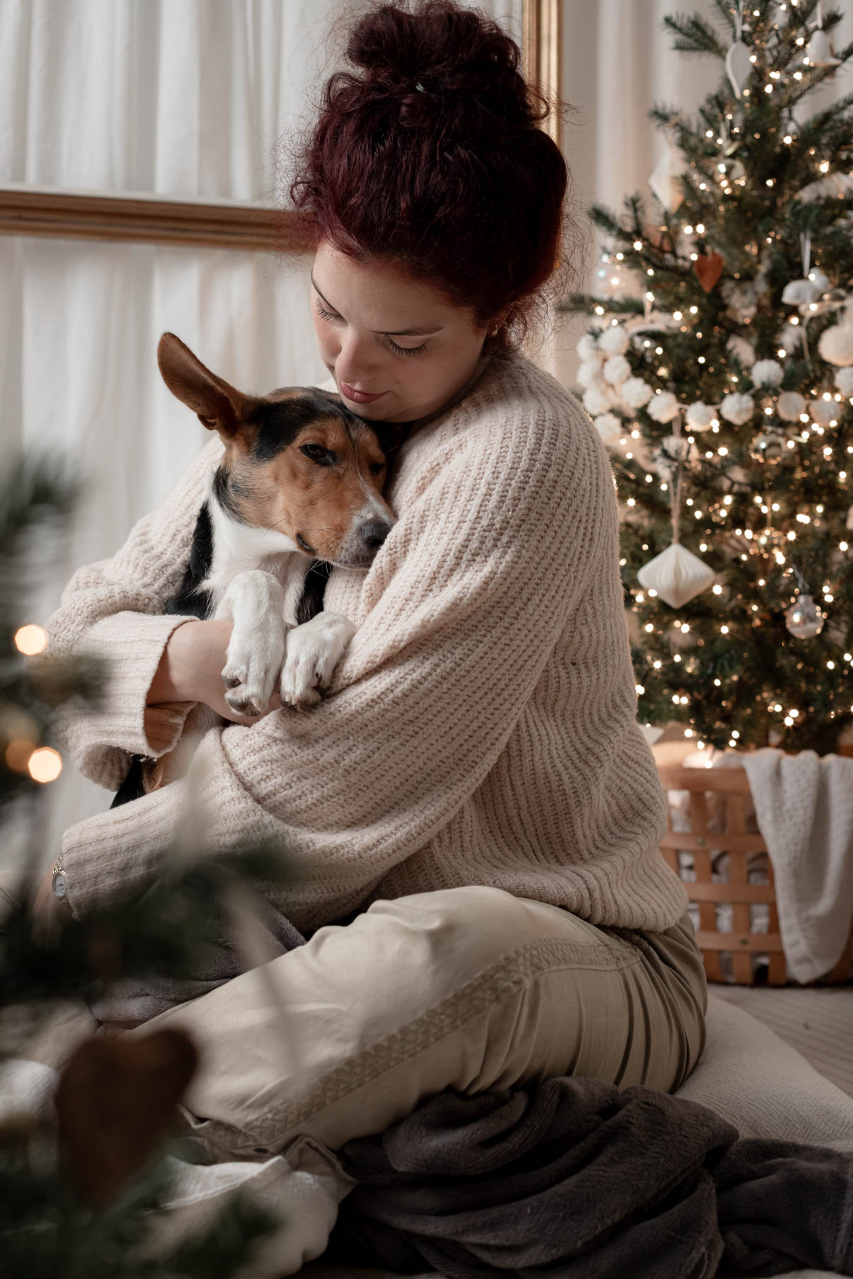 Fotografía mascotas navidad