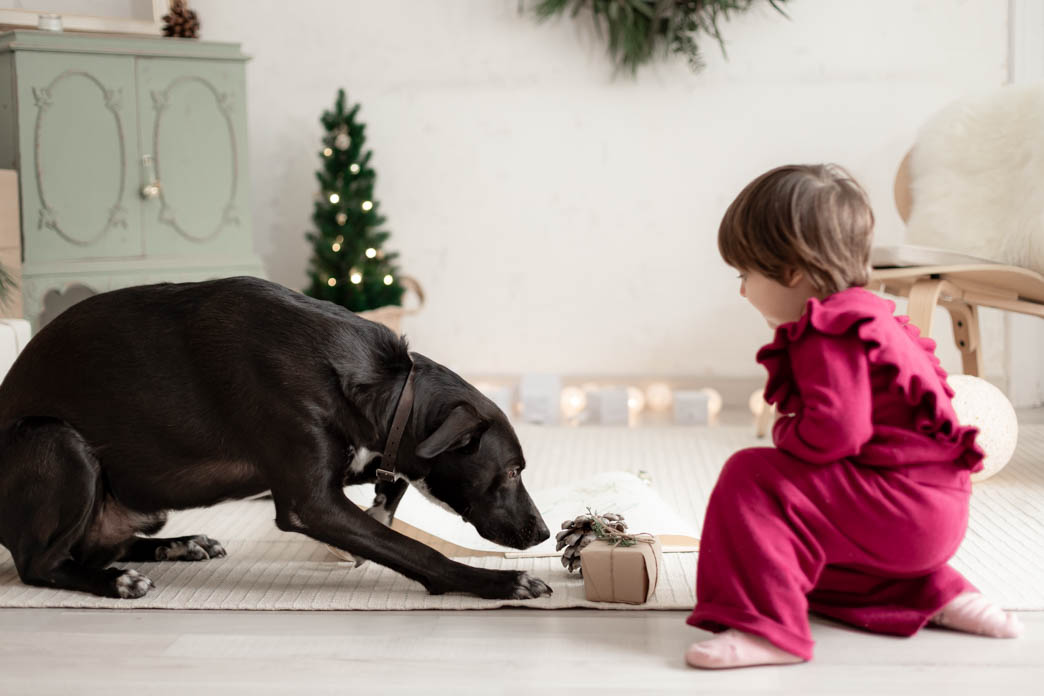 fotografías de navidad con Dani y Koru