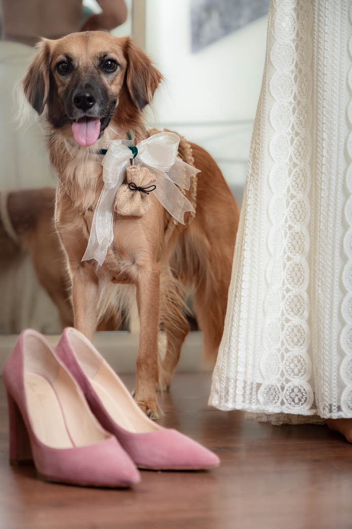 Preparativos de la novia y mascota, Fotos de Boda en Madrid